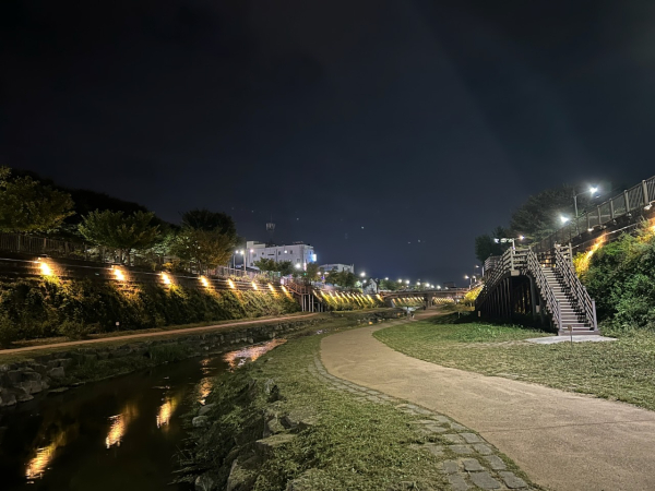 제민천 야간경관