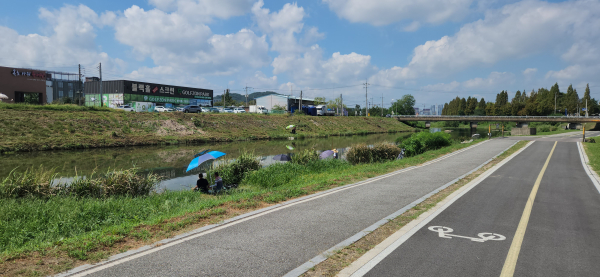천안천에서 낚시하고 있는 시민들의 모습.
