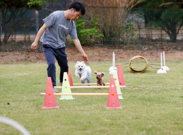 남면의 한 반려동물 동반 숙박업소 모습