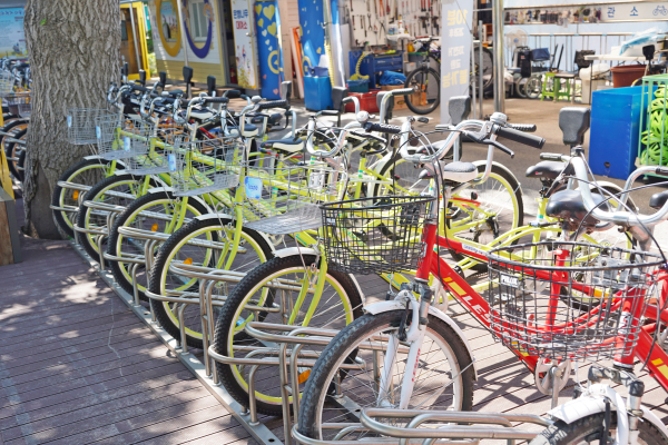 은행나무길 자전거 대여소 야간 연장 운영