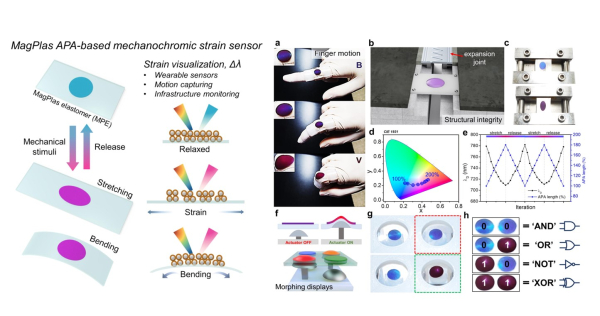 이재범 교수, Chemical Engineering Journal 논문 게재 (연구 설명 그림)