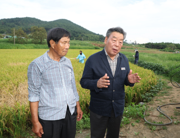 지난 19일 태안읍 상옥리의 벼멸구 피해농가를 찾은 가세로 군수.