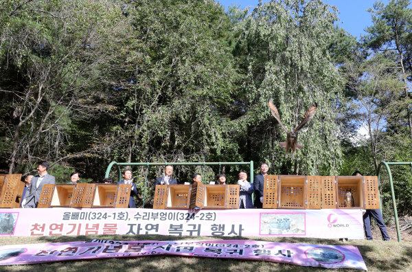 멸종위기종 올빼미와 수리부엉이 자연으로 방사 행사 모습