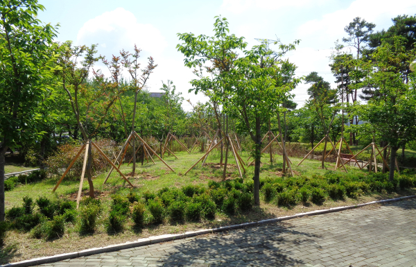 지난 2023년 완료된 기후대응 도시숲 조성 사업(오토밸리일반산업단지)