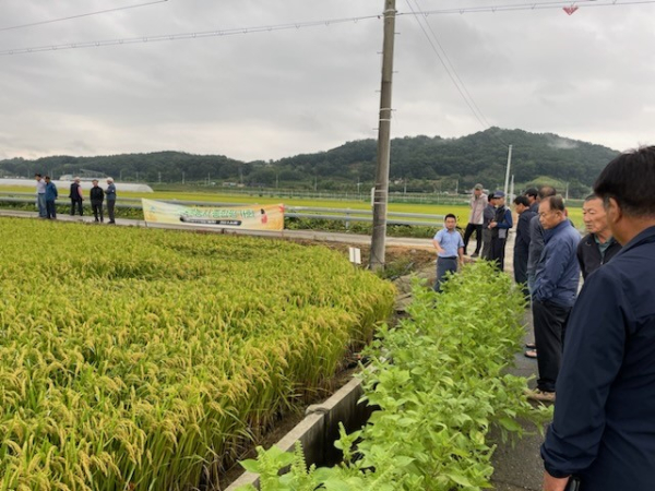 ‘2024 세종시 벼농사 종합평가회’ 개최 모습