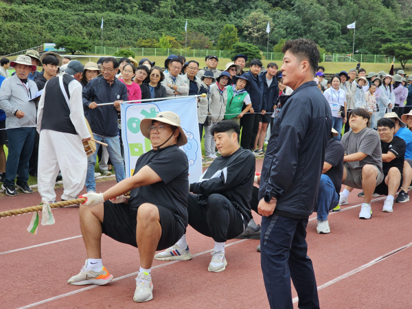 제63회 군민의 날 기념식 및 군민체육대회 (줄다리기 진행 모습)