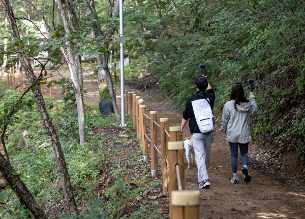 '2024 대전 사운드 워킹 힐링하개’ 프로그램 진행 모습