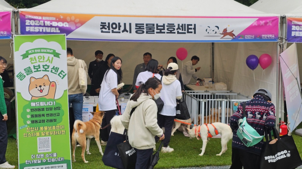 지난 20일 천안시민체육공원에서 2회 K-DOG FESTIVAL을 개최하고 있다.