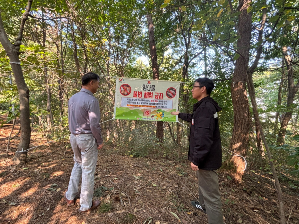부춘산 일원에서 진행된 임산물 불법 채취 단속