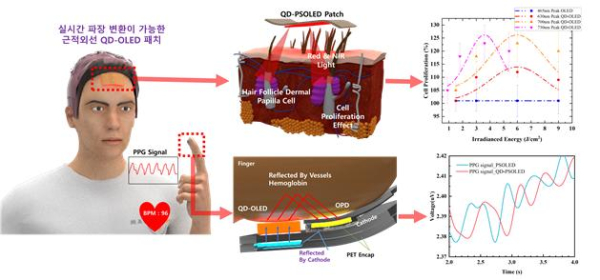 모발 증식 및 심박수 측정용 고유연 QD-OLED 패치 플랫폼