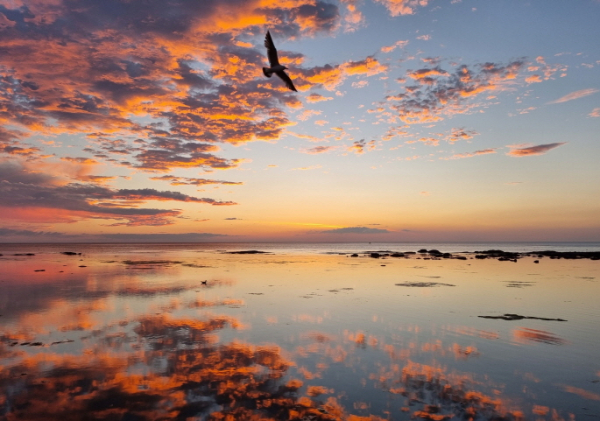 전시 작품 중 하나, ‘더 넓게, 더 높이’