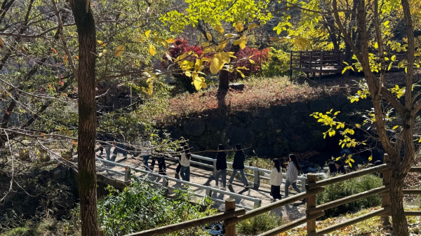 경북지역 치매안심센터 임직원 대상 캠프 운영