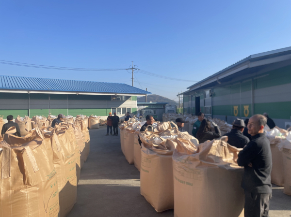 공공비축미 매입 현장 모습