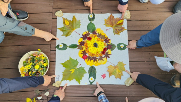 지난 12일 국립대전숲체원에서 참가자들(국립수목장림 업무 종사자)이 산림치유 프로그램(만다라 명상 프로그램)을 체험 모습
