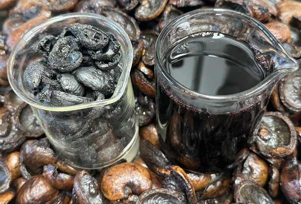 캐슈넛 껍질로 생산된 바이오중유(오른쪽)와 바이오차(왼쪽)