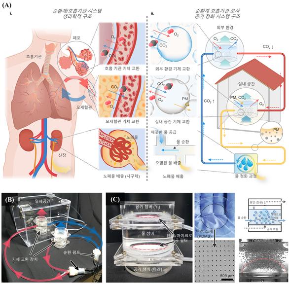 인체 순환계/호흡기관 모사 공기 정화 시스템의 개념 및 실제 구성 모습