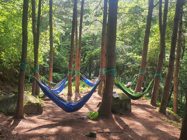 국립산림치유원 산림치유 가족캠프 ‘숲 명상’ 산림치유프로그램에 참여 중인 모습.