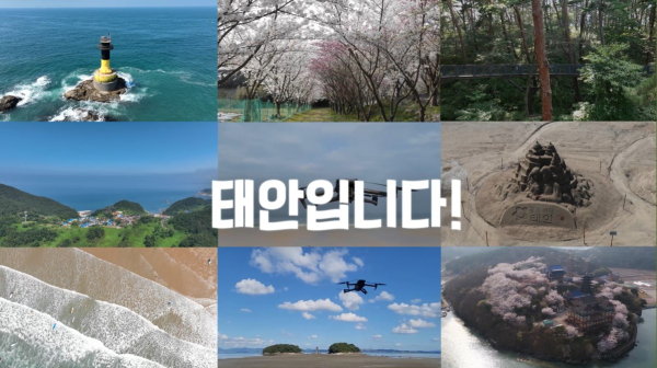 태안군 영상부문 수상작(영상캡처)