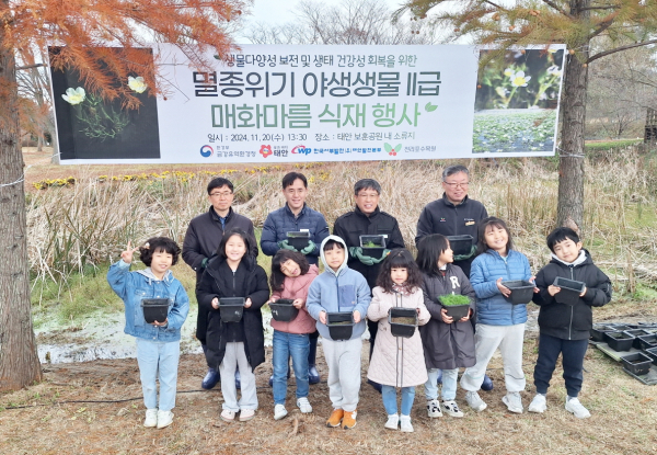 지난 20일 태안 보훈공원에서 진행된 매화마름 식재 행사 모습.