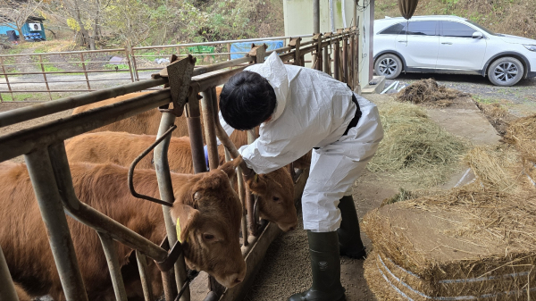 공수의사 접종 모습