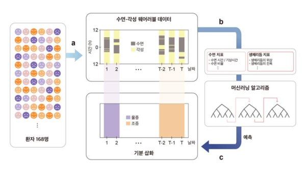 수면-각성 데이터만을 이용한 기분 삽화 예측 모델 개발