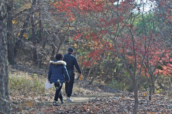 지난 23일 국립대전숲체원에서 손주 육아를 하는 조부모(참가자)가 ‘황혼육아 해방일지’ 프로그램에 참여하고 있다