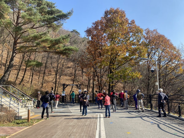 지역 어르신 맞춤형 산림치유프로그램 운영 모습