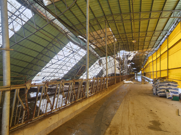 천안시 성환읍 축사 붕괴 현장 모습