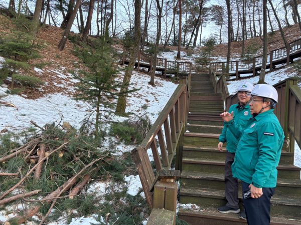 남태헌 한국산림복지진흥원장이 양평군 양동면 국립하늘숲추모원에서 폭설 피해상황을 점검하고 있다.