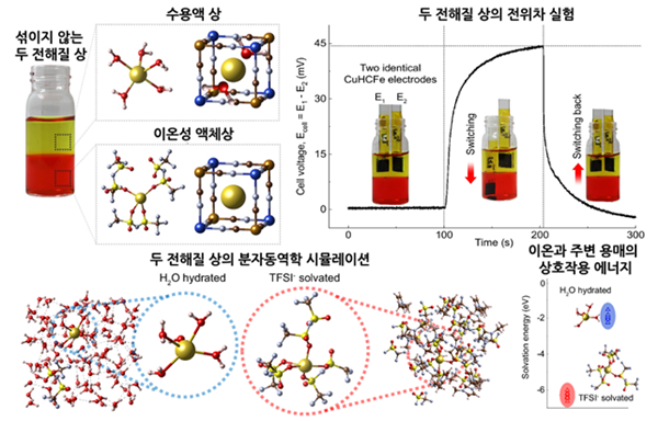 섞이지 않는 두 전해질에서 전기 에너지 생성 및 원리 규명