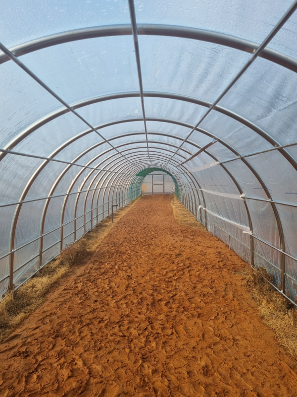 중앙공원 맨발 산책길 덩굴터널 추가 조성 사진