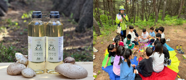 경북 포항 숲뜰애의 표고버섯 멀티소스와, 임야를 활용한 버섯 채취 프로그램