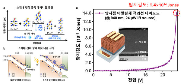 양자점 소재 및 소자에서의 아발란체 전하 증폭 메커니즘 개요도