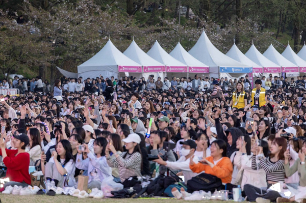 2024 대덕물빛축제 사진