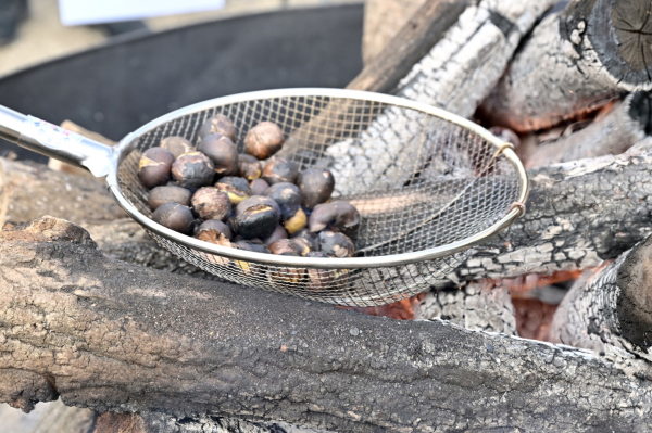 ‘제8회 겨울공주 군밤축제’와 ‘대한민국 밤산업 박람회’ 개최 현장 모습
