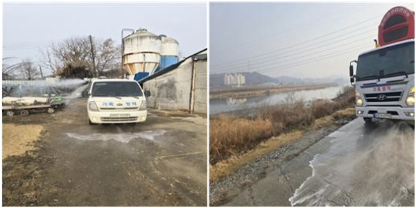 (좌) 가금농장 소독사진, (우) 철새도래지(곡교천) 소독사진