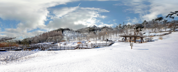 영인산자연휴양림 겨울 풍경