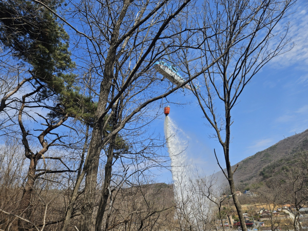 봄철 산불조심 강조기간을 맞아 산불방지대책을 수립하고 산불방지대책본부를 운영한다.