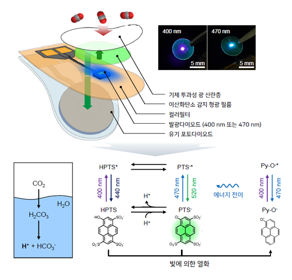 광화학적 이산화탄소 센서의 구조와 작동 원리