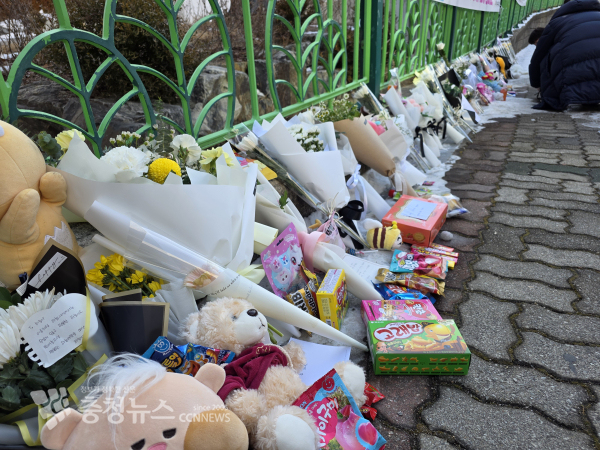 11일 초등생 1학년 여아가 살해당한 대전 서구 한 초등학교 앞에 추모의 꽃과 인형, 먹을거리 등이 놓여 있다. / 이성현 기자