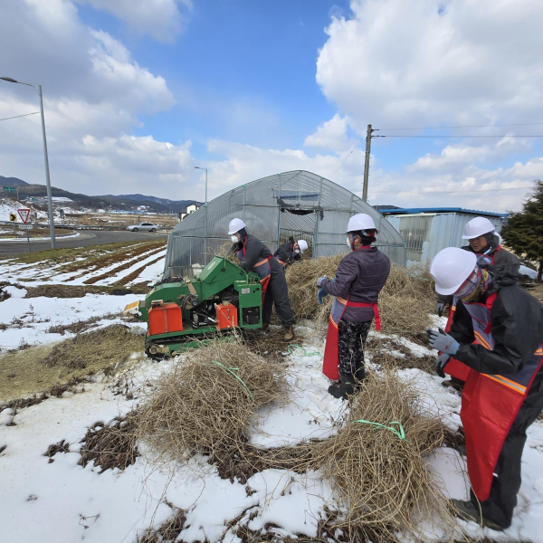 영농 부산물 파쇄지원단 파쇄 작업 진행 모습