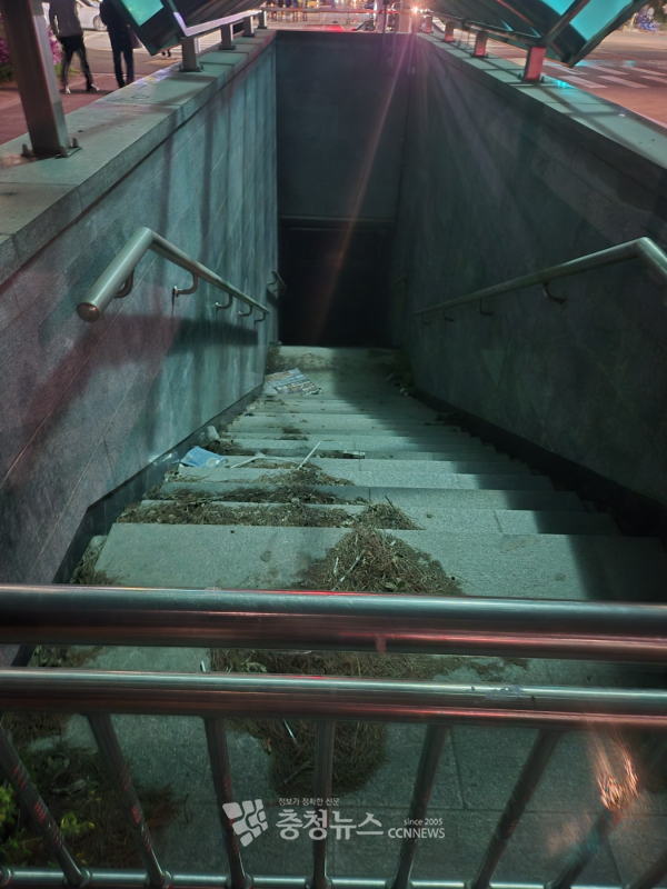 대전 서구 둥지 폐쇄 지하보도가 방치된 모습 / 김용우 기자