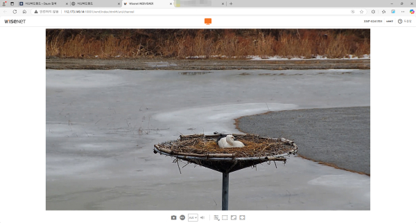서산버드랜드 누리집을 통해 실시간 제공되고 있는 황새 둥지 모습