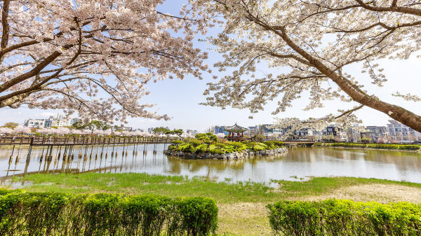 중앙호수공원 전경