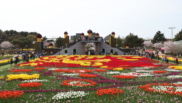 지난해 세계튤립꽃박람회 모습.