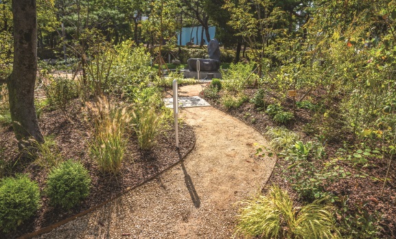 2024년도 살습정원 조성완료 전경(중구 문화동 서대전광장-최우수상)