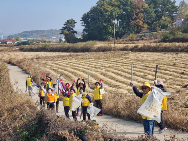 채운면 100세건강위원회 환경정화활동 모습