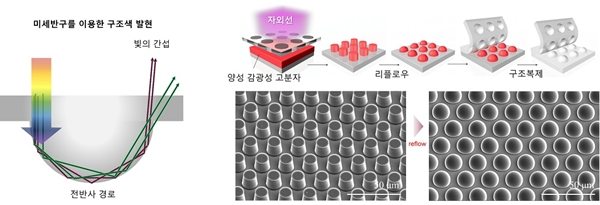 미세반구를 이용한 구조색 발현 원리(왼쪽) 및 광식각법 기반의 미세반구 패턴 형성 방법.