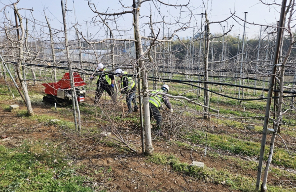 영농부산물 파쇄 모습.