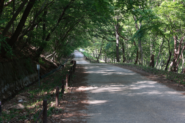 안보생태탐방로 숲길 시작 구간